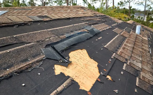 Sökülen shingle altında yırtık su yalıtım örtüsü ve açıkta kalan ahşap